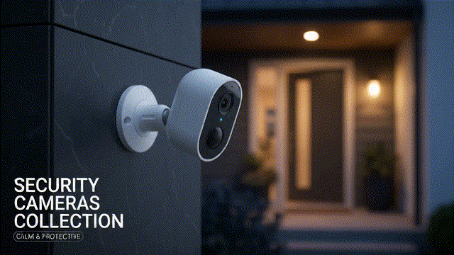 Security Cameras